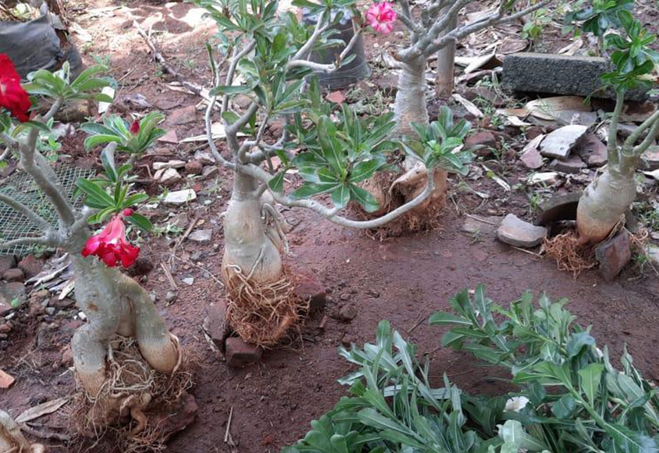 Recent Work